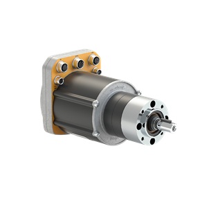 Safety gear motor SWD® Core